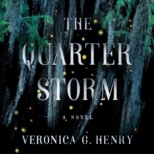 The Quarter Storm: A Novel (Mambo Reina, Book 1) (Unabridged) cover