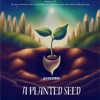 A Planted Seed