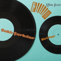 Biri Var - Single - Efkan Şeşen