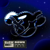SLOW DOWN artwork