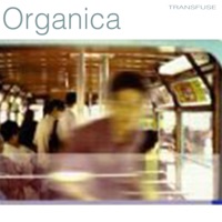 Transfuse - Organica