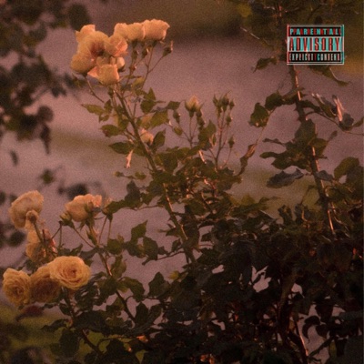 It's a Sign - Single