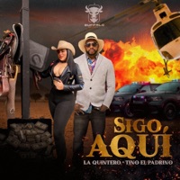 Sigo Aquí (feat. La Quintero) - Single - Tino El Padrino