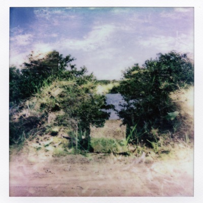 Sacred Days (feat. David Day) - Single