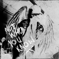 NWYK (Alt Versions) - Single - Ethan Low