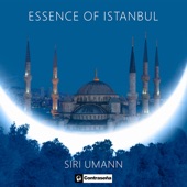 Essence Of Istanbul artwork