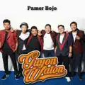 Pamer Bojo