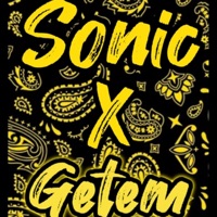 Don't Move (feat. Getem Vega) - Single - Sonic