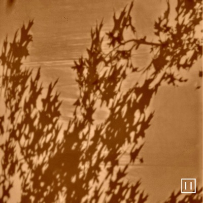 This Fall (feat. Kirby) - Single