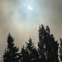 Houston - Single - imcstrand