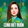 Cỏ Cây Cũng Biết Buồn