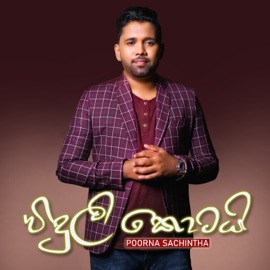 Viduli Kotai Poorna Sachintha