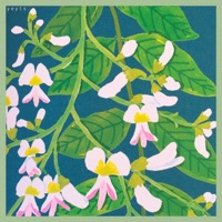 Spring Breeze - Single - Yeyts.