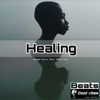 Healing (feat. Dj Vend-Linu) - Single - Aldom Draco