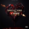 Special Kind of Love - Single