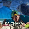 La Chapa (Damosky Remix) - Single