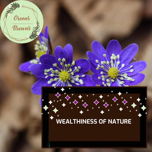 Wealthiness of Nature