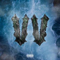 VV - Single - Fasco Fleex