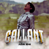 Gallant - Ada Ehi