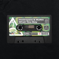 What You Say - Single - Destroyers & MURIX