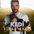 Sinan Akçıl Kedi