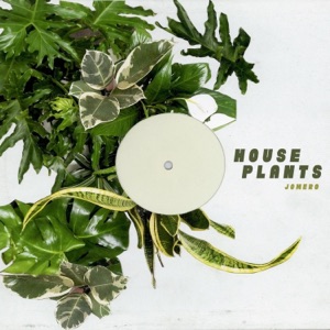 House Plants