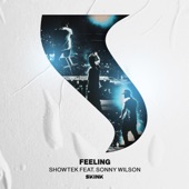 Feeling (feat. Sonny Wilson) artwork