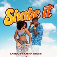Shake It (feat. Nasha Travis) - Single - Lavido Music
