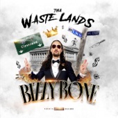 Tha Waste Lands artwork