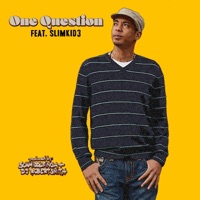 One Question - Single - Schmiddlfinga, DJ Robert Smith & Slimkid3