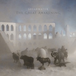 THE GREAT AWAKENING cover art