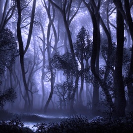 Bitter Sting (feat. Łucid dreamer) PIERIDXE