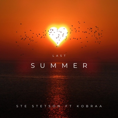Last Summer (feat. Kobraa) - Single