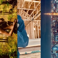 Insomnia - Single - Tommy 760