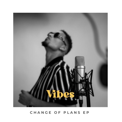 Vibes - Single