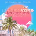 Break Your Heart