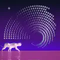 Dark Matter