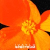 Spectrum - EP