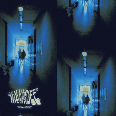 Waanidee - Single