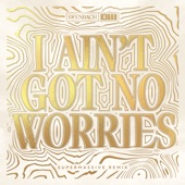 I Ain't Got No Worries (with R3HAB) [Supermassive Remix] artwork