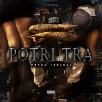 POTRI TRA - Single - Markz Tabanni
