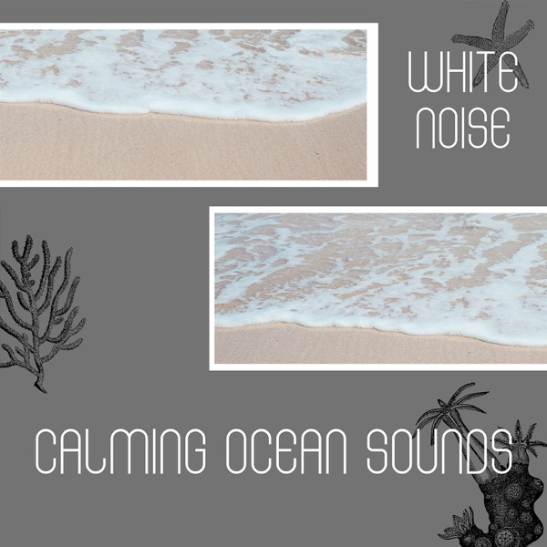Calming Ocean Sounds and White Noise, Loopable