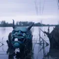 Blue Devils