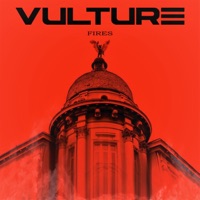 Fires - Single - Vulture Theory