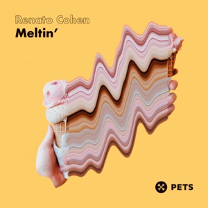 Meltin' - Single
