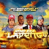 Ntho Eka Lapeng (feat. Chereh Sputswe) artwork