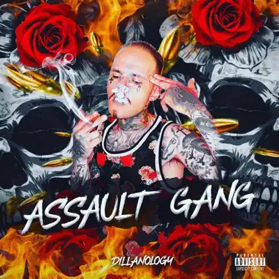 Ouça Assault Gang de Dillanology.