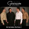 Grupo Generación de Villarrica - Al Pie de Tu Reja