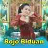 deni kristiani - Bojo Biduan