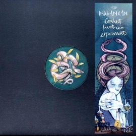 Inner Transition_Violent Cases 021_A2 IND_Cult Collective